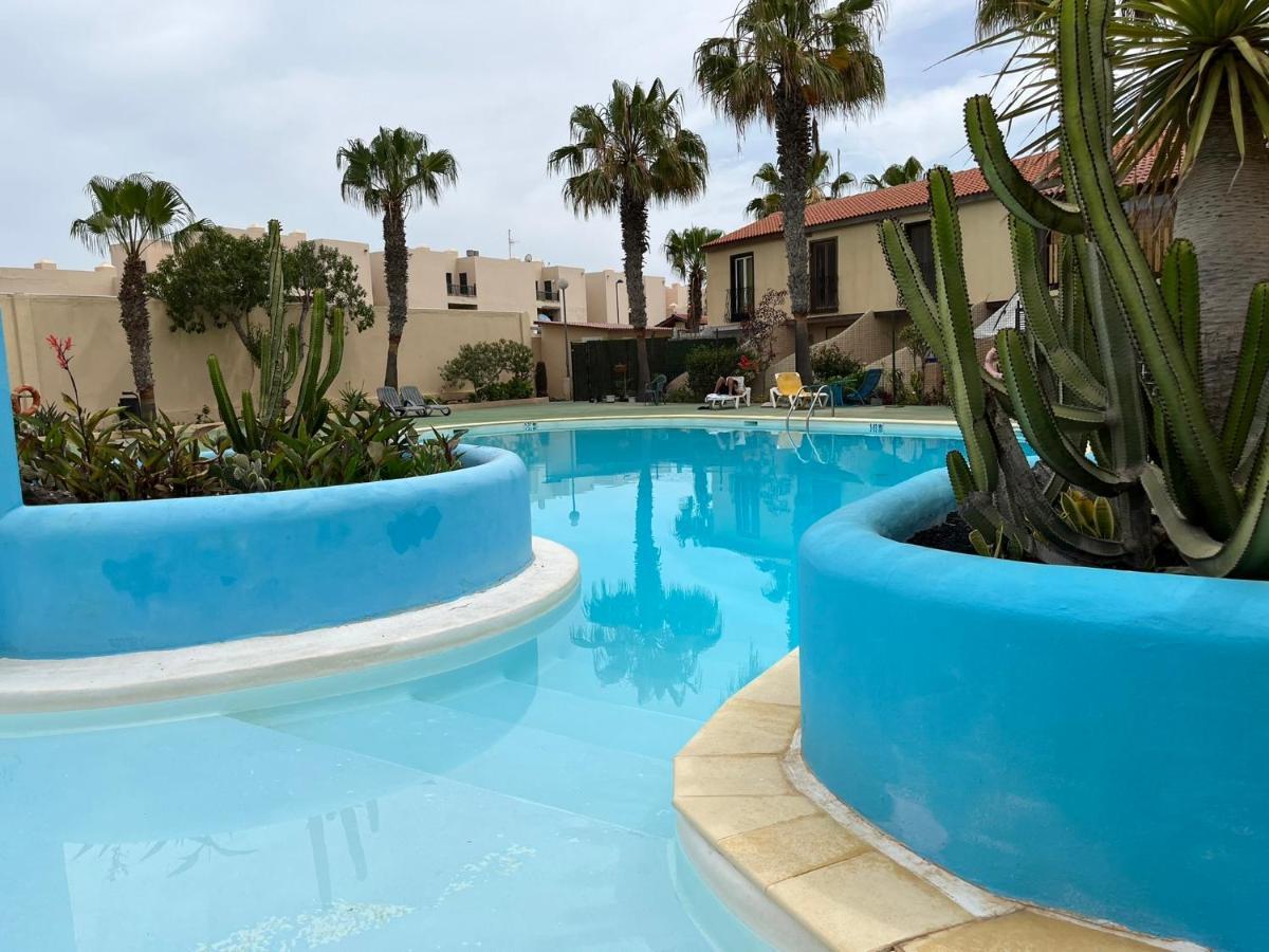 Surf & Chill Bungalow 69, Quiet Green Oasis With Community Swimmingpool Parque Holandes Kültér fotó