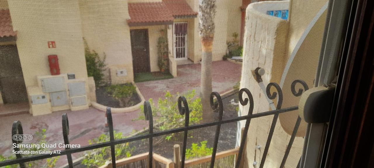 Surf & Chill Bungalow 69, Quiet Green Oasis With Community Swimmingpool Parque Holandes Kültér fotó