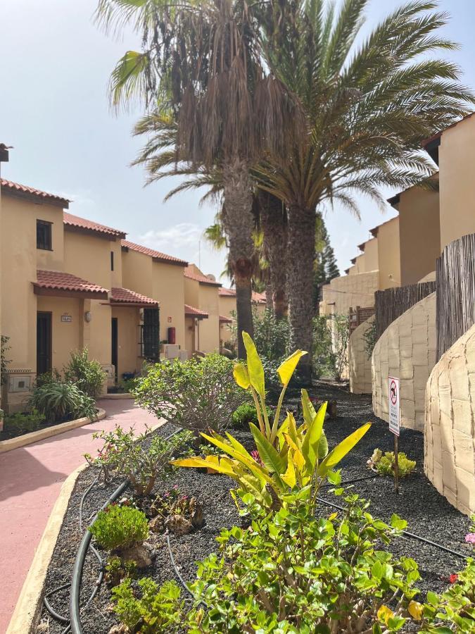 Surf & Chill Bungalow 69, Quiet Green Oasis With Community Swimmingpool Parque Holandes Kültér fotó