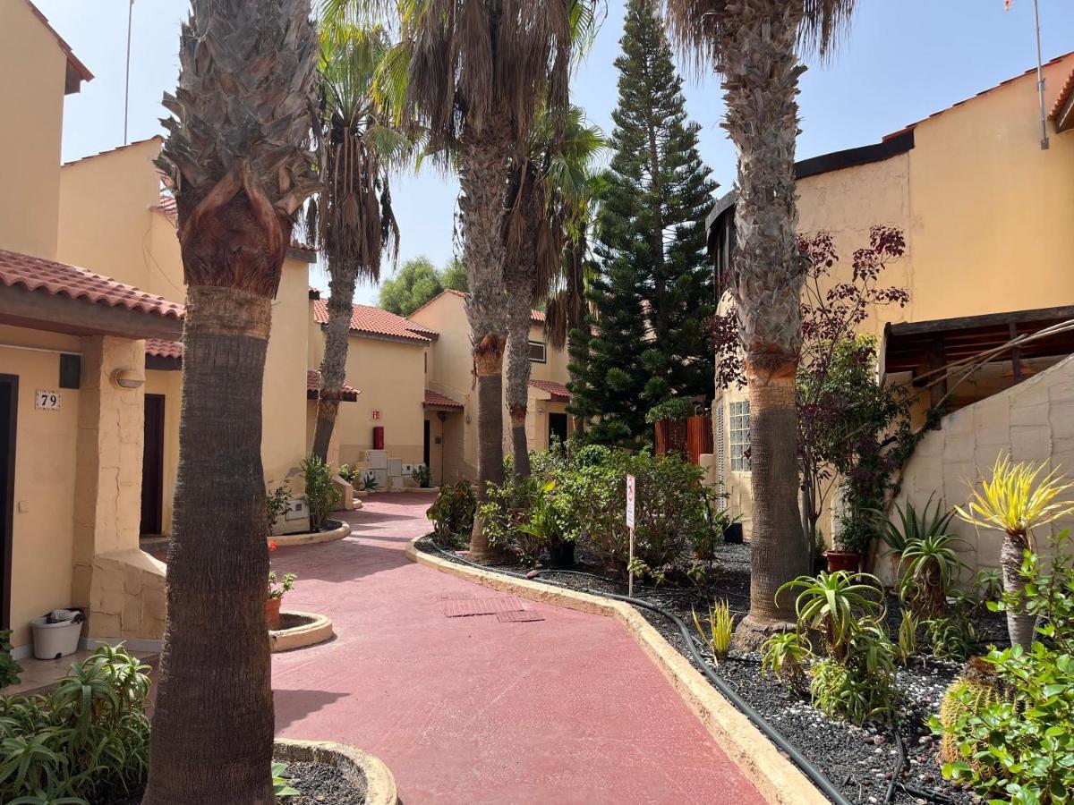 Surf & Chill Bungalow 69, Quiet Green Oasis With Community Swimmingpool Parque Holandes Kültér fotó