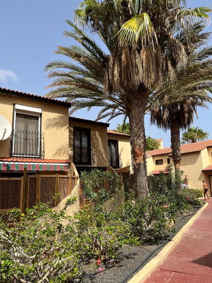 Surf & Chill Bungalow 69, Quiet Green Oasis With Community Swimmingpool Parque Holandes Kültér fotó