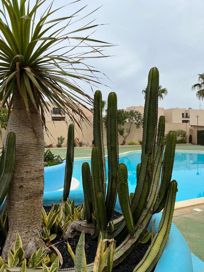 Surf & Chill Bungalow 69, Quiet Green Oasis With Community Swimmingpool Parque Holandes Kültér fotó