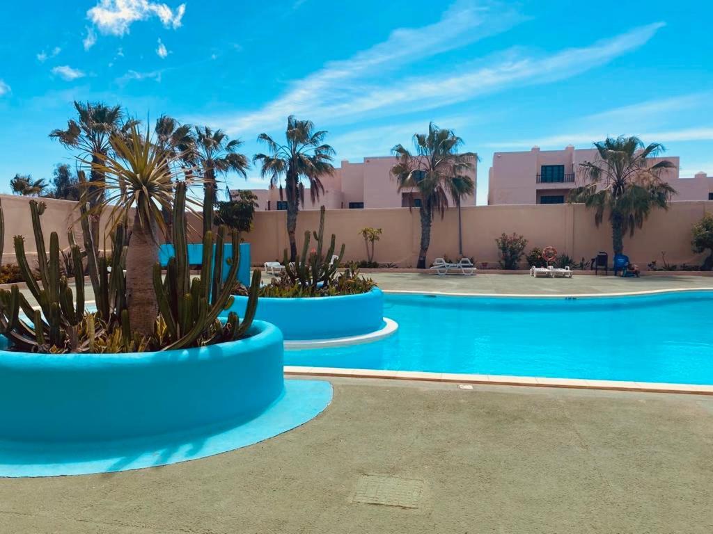 Surf & Chill Bungalow 69, Quiet Green Oasis With Community Swimmingpool Parque Holandes Kültér fotó
