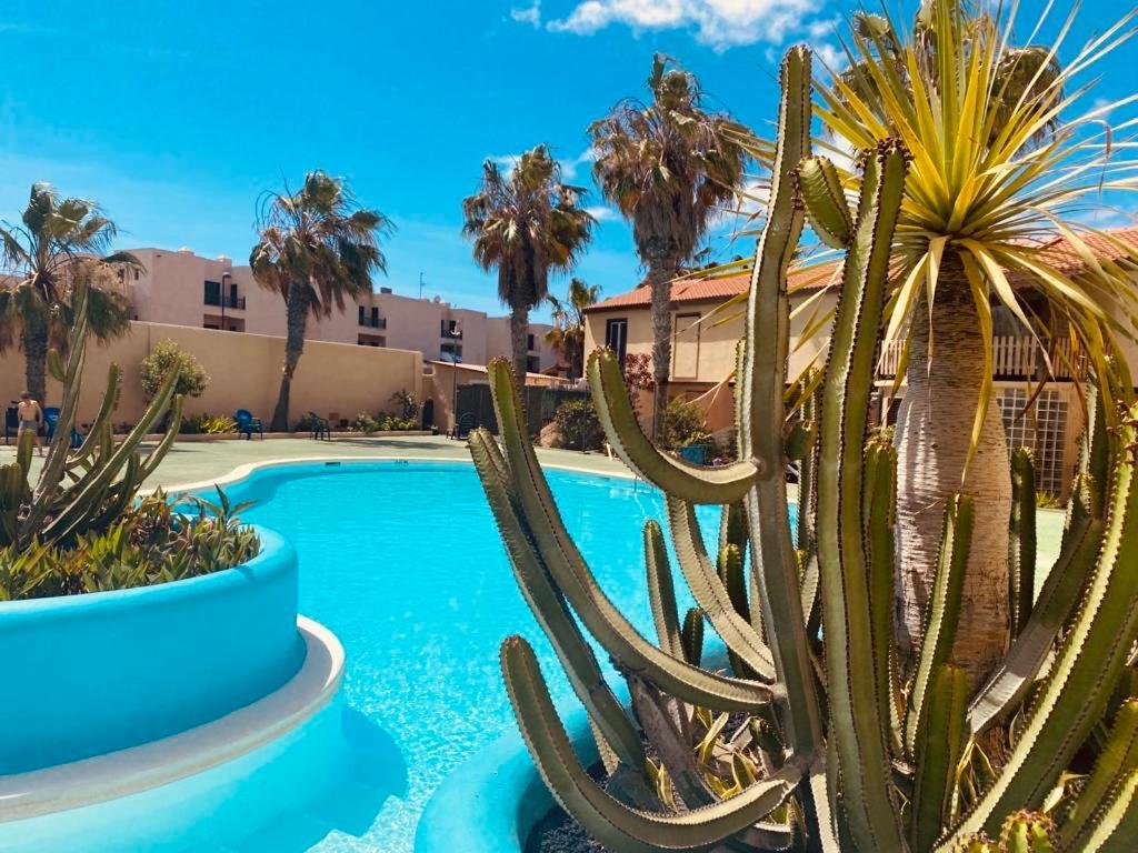 Surf & Chill Bungalow 69, Quiet Green Oasis With Community Swimmingpool Parque Holandes Kültér fotó