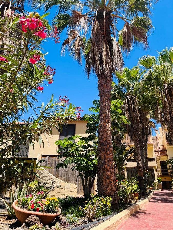 Surf & Chill Bungalow 69, Quiet Green Oasis With Community Swimmingpool Parque Holandes Kültér fotó