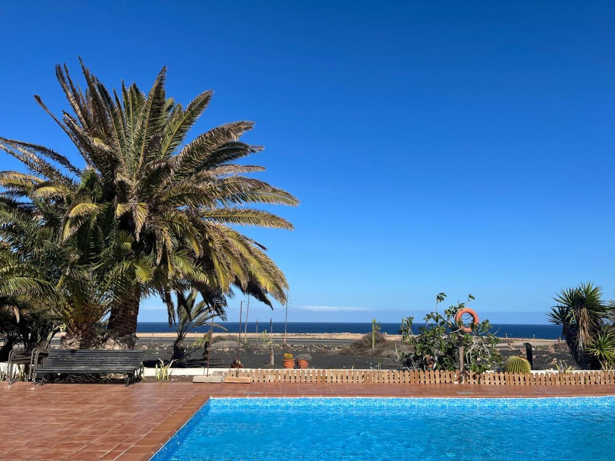 Surf & Chill Bungalow 69, Quiet Green Oasis With Community Swimmingpool Parque Holandes Kültér fotó
